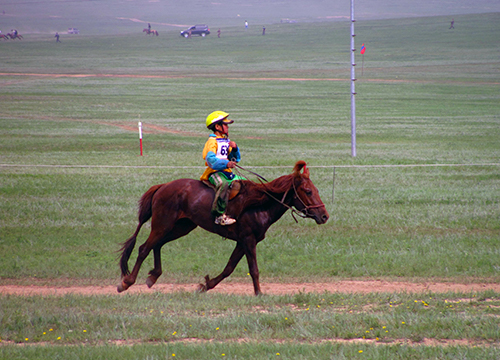 Mongolian Traditional Horse race
